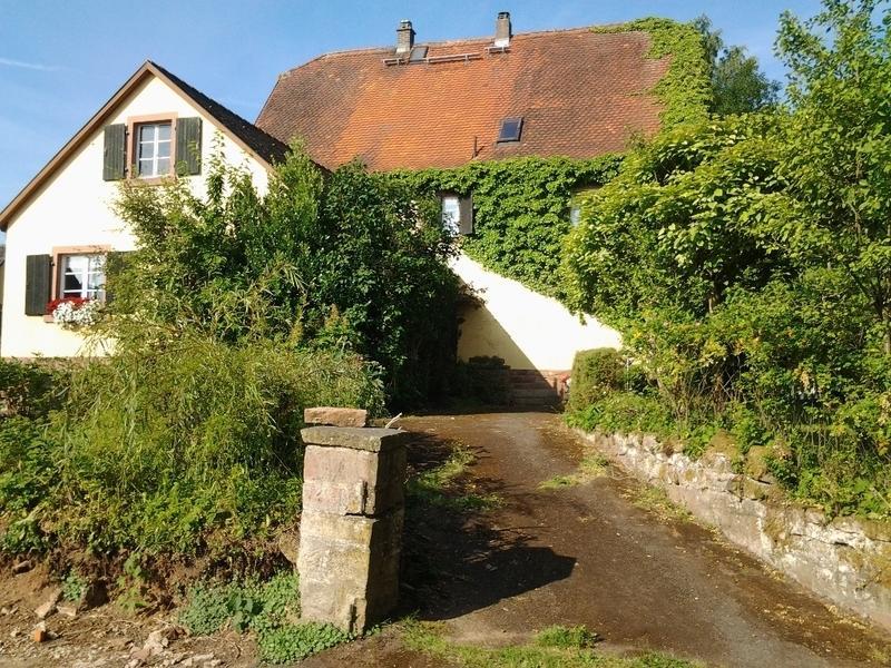 Gastehaus Zum Alten Schulhaus Hotel Miltenberg Room photo