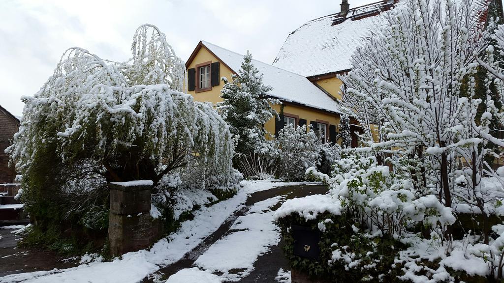 Gastehaus Zum Alten Schulhaus Hotel Miltenberg Exterior photo